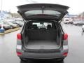 2007 Steel Gray Hyundai Santa Fe Limited 4WD  photo #22