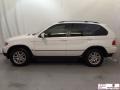 Alpine White - X5 3.0i Photo No. 5