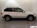 Alpine White - X5 3.0i Photo No. 6