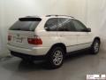 Alpine White - X5 3.0i Photo No. 22