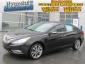 2013 Midnight Black Hyundai Sonata Limited 2.0T  photo #1