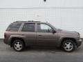 Desert Brown Metallic - TrailBlazer LT 4x4 Photo No. 2