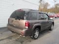 Desert Brown Metallic - TrailBlazer LT 4x4 Photo No. 9