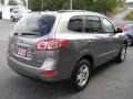 Mineral Gray - Santa Fe GLS AWD Photo No. 6