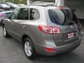 Mineral Gray - Santa Fe GLS AWD Photo No. 8