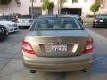 2010 Sand Beige Metallic Mercedes-Benz C 300 Luxury  photo #3