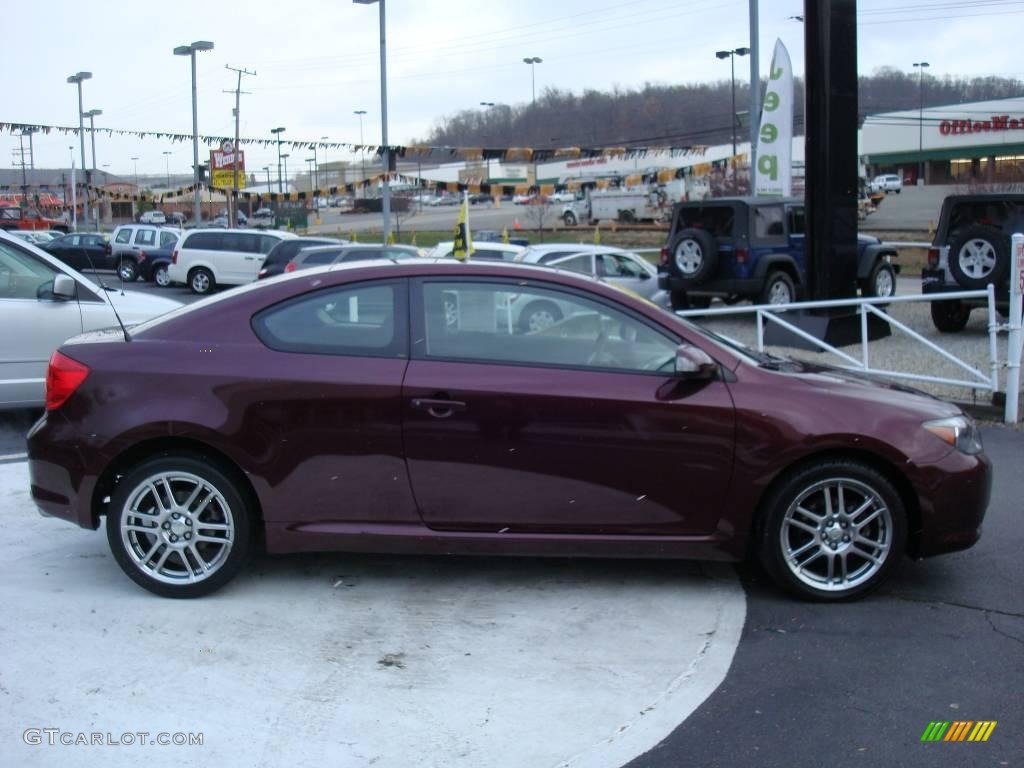 2005 tC  - Black Cherry Pearl / Dark Gray photo #5