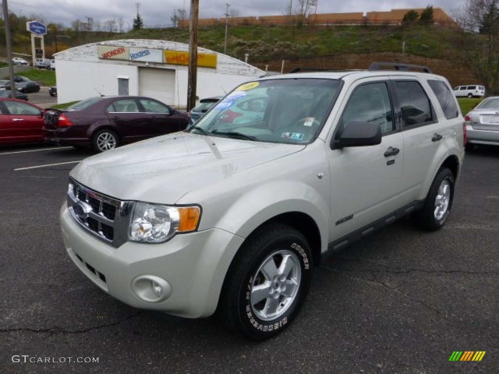Light Sage Metallic 2008 Ford Escape XLT V6 4WD Exterior Photo #73092057