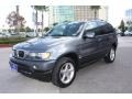 Steel Grey Metallic - X5 3.0i Photo No. 2