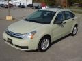 Natural Neutral Metallic 2011 Ford Focus SE Sedan Exterior