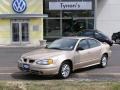 2004 Champagne Beige Metallic Pontiac Grand Am SE Sedan  photo #1