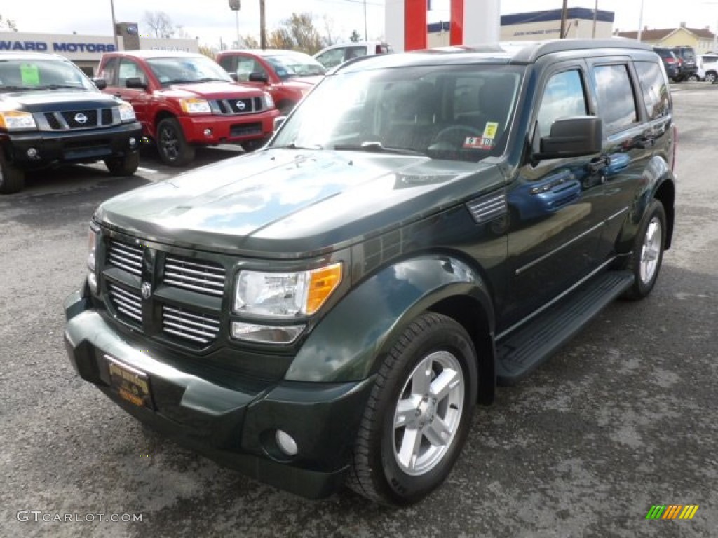 2010 Nitro SXT 4x4 - Natural Green Pearl / Dark Slate Gray/Light Slate Gray photo #3