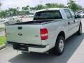 Silver Metallic - F150 XLT SuperCrew Photo No. 3