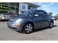 Platinum Grey - New Beetle TDI Coupe Photo No. 1