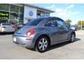 Platinum Grey - New Beetle TDI Coupe Photo No. 5