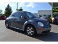 Platinum Grey - New Beetle TDI Coupe Photo No. 7