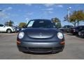 Platinum Grey - New Beetle TDI Coupe Photo No. 8