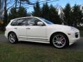 2009 Sand White Porsche Cayenne GTS  photo #8