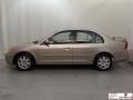 Titanium Metallic - Civic EX Sedan Photo No. 5