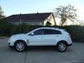 2013 Platinum Ice Tricoat Cadillac SRX Luxury FWD  photo #5