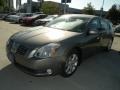 2004 Spirited Bronze Nissan Maxima 3.5 SL  photo #2