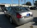 2004 Spirited Bronze Nissan Maxima 3.5 SL  photo #7