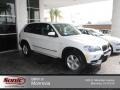 Alpine White - X5 xDrive30i Photo No. 1