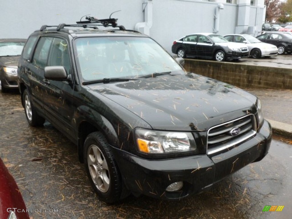 2003 Forester 2.5 XS - Java Black Pearl / Gray photo #1