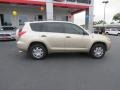 Savannah Metallic - RAV4 I4 Photo No. 8