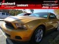 2010 Sunset Gold Metallic Ford Mustang V6 Convertible #73142582