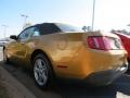 2010 Sunset Gold Metallic Ford Mustang V6 Convertible  photo #2