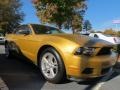 2010 Sunset Gold Metallic Ford Mustang V6 Convertible  photo #4