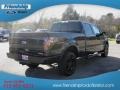 Tuxedo Black Metallic - F150 FX4 SuperCrew 4x4 Photo No. 6