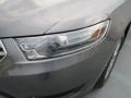 Sterling Gray Metallic - Taurus SE Photo No. 8