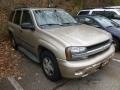 Sandstone Metallic - TrailBlazer LS 4x4 Photo No. 1