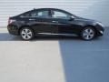 Black Onyx Pearl - Sonata Hybrid Photo No. 2