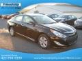 2012 Midnight Black Hyundai Sonata Hybrid  photo #5