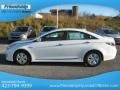Porcelain White Pearl - Sonata Hybrid Photo No. 2