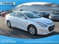 Porcelain White Pearl - Sonata Hybrid Photo No. 5
