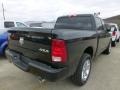 Black - 1500 Express Crew Cab 4x4 Photo No. 4