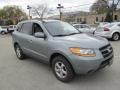 2008 Platinum Sage Hyundai Santa Fe GLS 4WD  photo #5