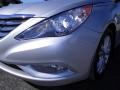 Radiant Silver - Sonata Limited Photo No. 10