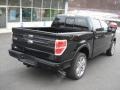 2013 Tuxedo Black Metallic Ford F150 Limited SuperCrew 4x4  photo #8