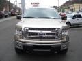 Pale Adobe Metallic - F150 XLT SuperCrew 4x4 Photo No. 3