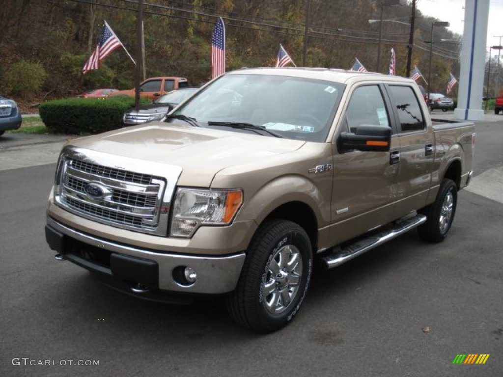 2013 F150 XLT SuperCrew 4x4 - Pale Adobe Metallic / Adobe photo #4