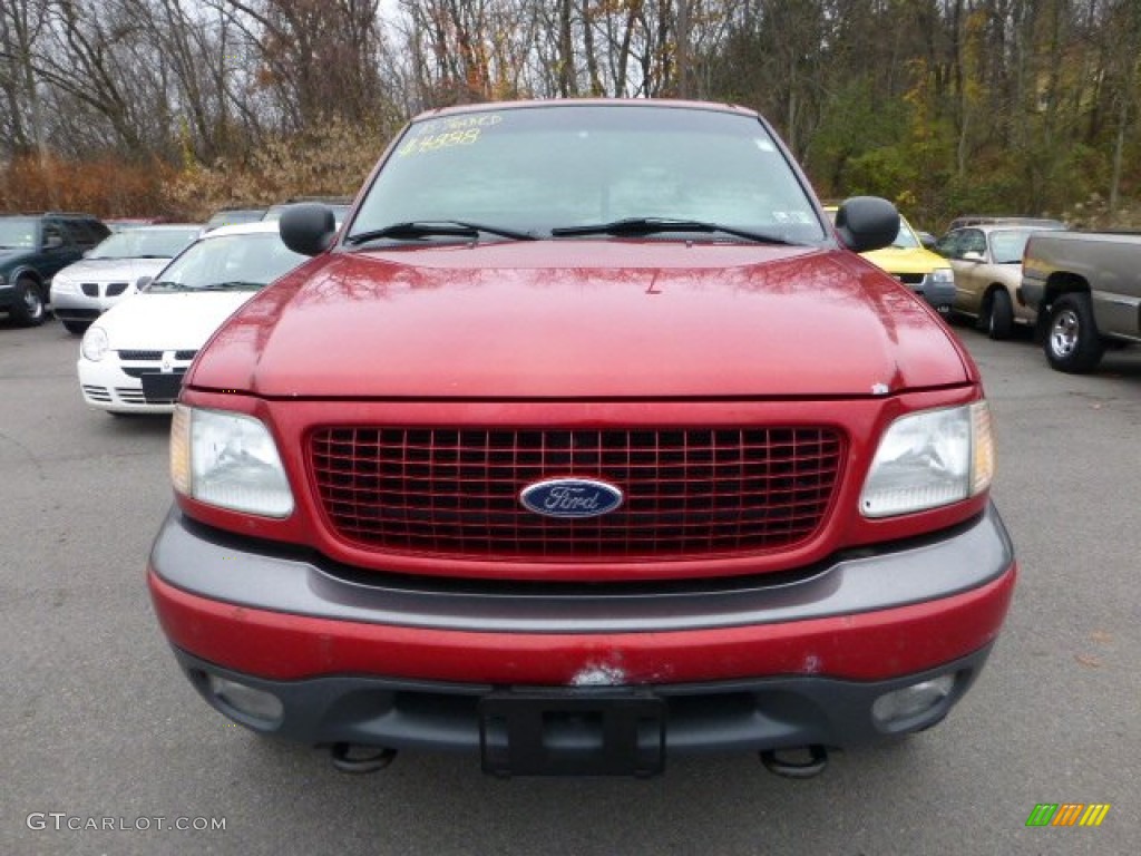 2002 Expedition XLT 4x4 - Laser Red / Medium Graphite photo #6