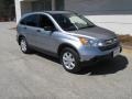 Whistler Silver Metallic - CR-V EX Photo No. 1