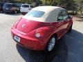 Salsa Red - New Beetle 2.5 Convertible Photo No. 10