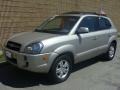 2006 Sahara Silver Hyundai Tucson Limited 4x4  photo #1