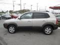 Sahara Silver - Tucson GLS V6 4x4 Photo No. 2